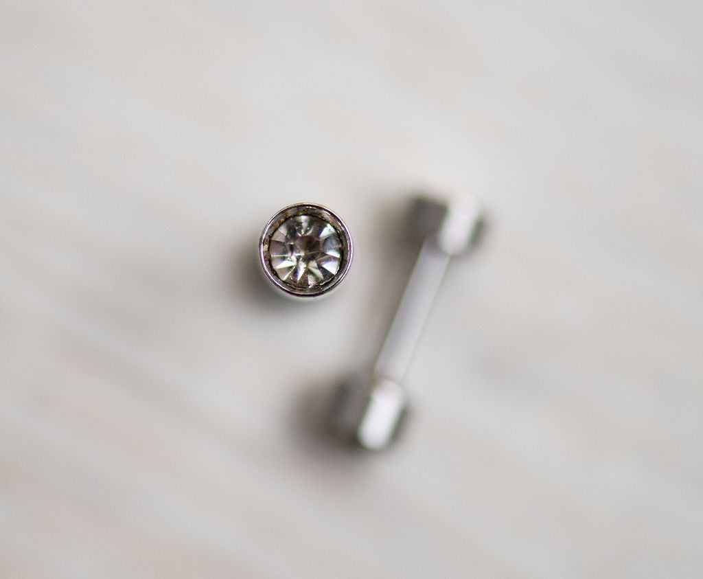 Elegant Silver Bezel Stud Earrings - The Dangle Jewelry Collection